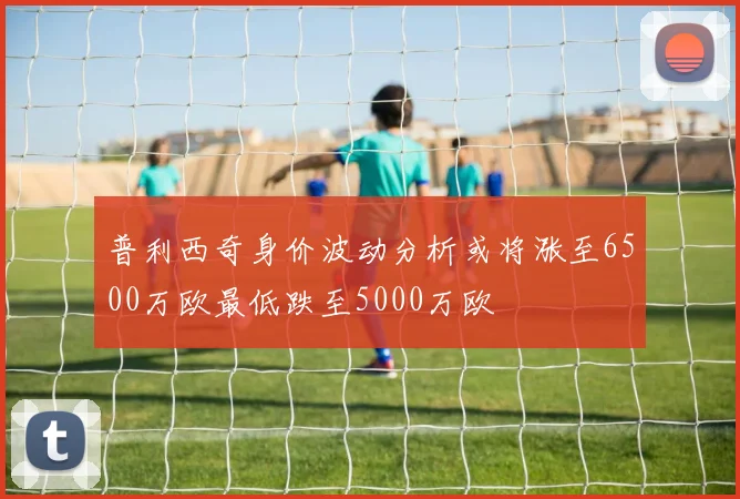 普利西奇身价波动分析或将涨至6500万欧最低跌至5000万欧