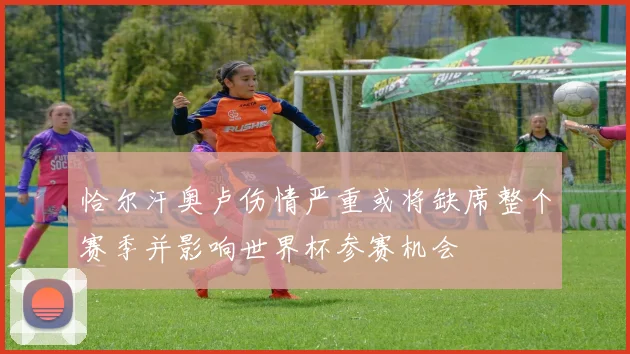 恰尔汗奥卢伤情严重或将缺席整个赛季并影响世界杯参赛机会
